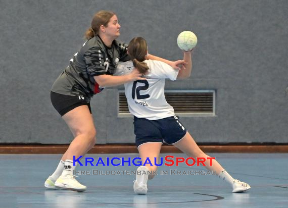 Frauen-Bezirksoberliga-TV-Sinsheim-vs-TSV-Phönix-Steinsfurt (© Siegfried Lörz)