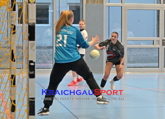 Frauen-Bezirksoberliga-TV-Sinsheim-vs-TSV-Phönix-Steinsfurt (© Siegfried Lörz)