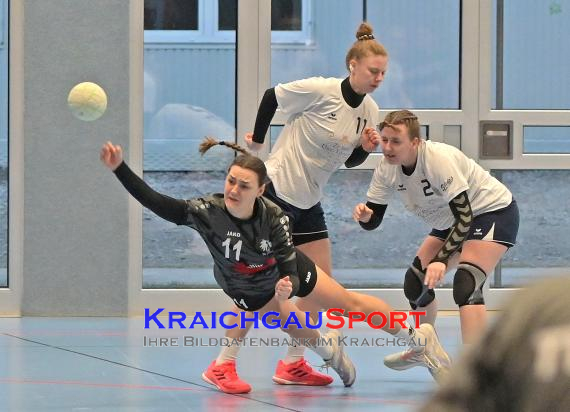 Frauen-Bezirksoberliga-TV-Sinsheim-vs-TSV-Phönix-Steinsfurt (© Siegfried Lörz)