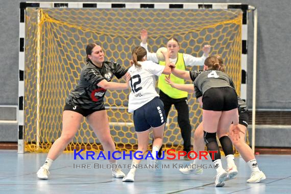 Frauen-Bezirksoberliga-TV-Sinsheim-vs-TSV-Phönix-Steinsfurt (© Siegfried Lörz)