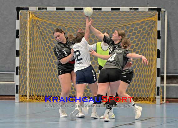 Frauen-Bezirksoberliga-TV-Sinsheim-vs-TSV-Phönix-Steinsfurt (© Siegfried Lörz)