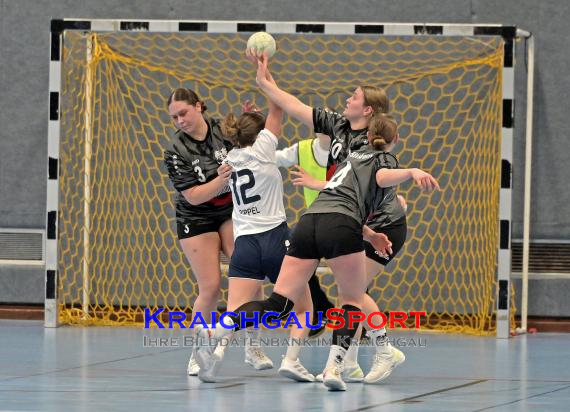 Frauen-Bezirksoberliga-TV-Sinsheim-vs-TSV-Phönix-Steinsfurt (© Siegfried Lörz)