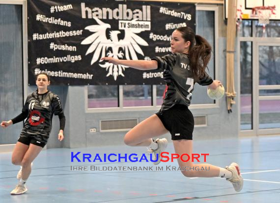 Frauen-Bezirksoberliga-TV-Sinsheim-vs-TSV-Phönix-Steinsfurt (© Siegfried Lörz)