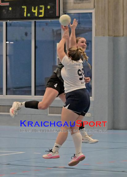 Frauen-Bezirksoberliga-TV-Sinsheim-vs-TSV-Phönix-Steinsfurt (© Siegfried Lörz)