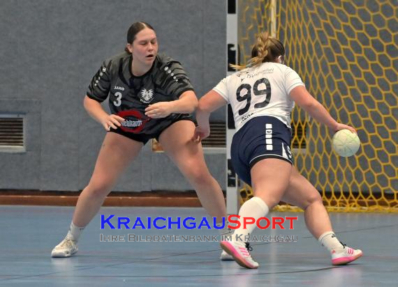 Frauen-Bezirksoberliga-TV-Sinsheim-vs-TSV-Phönix-Steinsfurt (© Siegfried Lörz)