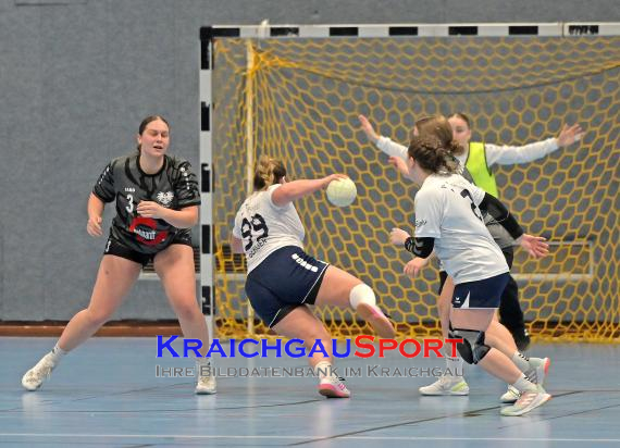 Frauen-Bezirksoberliga-TV-Sinsheim-vs-TSV-Phönix-Steinsfurt (© Siegfried Lörz)