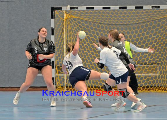 Frauen-Bezirksoberliga-TV-Sinsheim-vs-TSV-Phönix-Steinsfurt (© Siegfried Lörz)