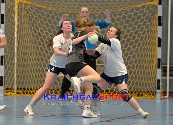 Frauen-Bezirksoberliga-TV-Sinsheim-vs-TSV-Phönix-Steinsfurt (© Siegfried Lörz)