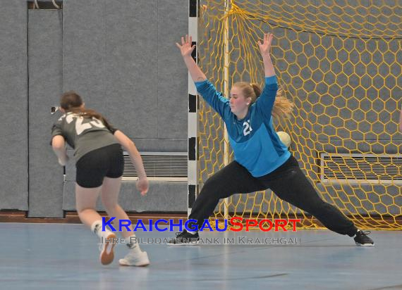 Frauen-Bezirksoberliga-TV-Sinsheim-vs-TSV-Phönix-Steinsfurt (© Siegfried Lörz)