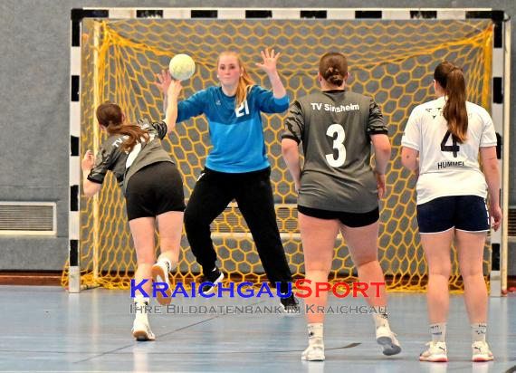 Frauen-Bezirksoberliga-TV-Sinsheim-vs-TSV-Phönix-Steinsfurt (© Siegfried Lörz)