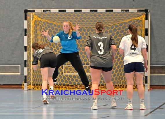 Frauen-Bezirksoberliga-TV-Sinsheim-vs-TSV-Phönix-Steinsfurt (© Siegfried Lörz)