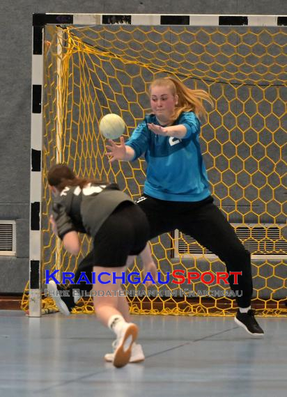 Frauen-Bezirksoberliga-TV-Sinsheim-vs-TSV-Phönix-Steinsfurt (© Siegfried Lörz)