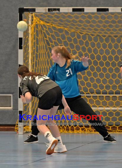 Frauen-Bezirksoberliga-TV-Sinsheim-vs-TSV-Phönix-Steinsfurt (© Siegfried Lörz)