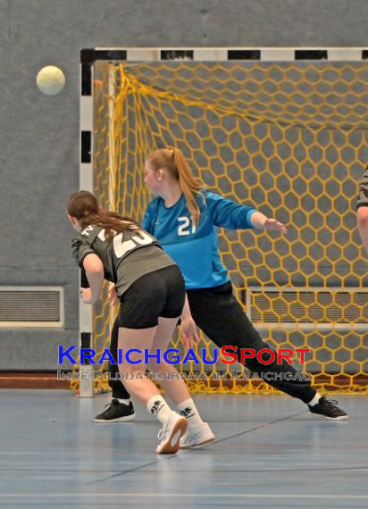 Frauen-Bezirksoberliga-TV-Sinsheim-vs-TSV-Phönix-Steinsfurt (© Siegfried Lörz)