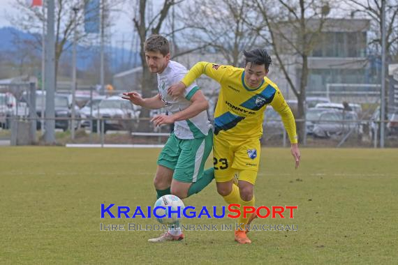 Oberliga-BW-FC-Zuzenhausen-vs-FSV-08-Bietigheim-Bissingen (© Siegfried Lörz)