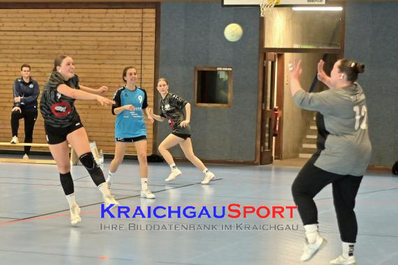 BARNT:-Frauen-Bezirksoberliga-TV-Sinsheim-vs-TSV-Birkenau-2 (© Siegfried Lörz)