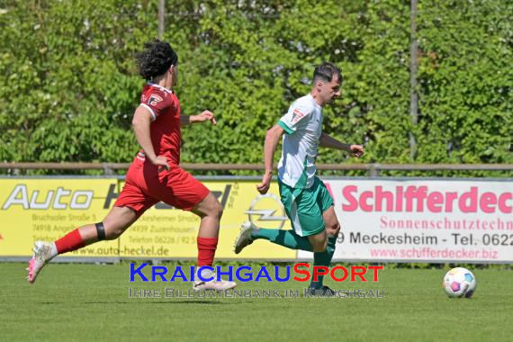 Oberliga-BW-FC-Zuzenhausen-vs-SV-Fellbach (© Siegfried Lörz)