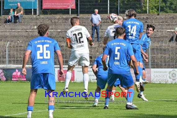 Verbandsliga-VfB-Eppingen-vs-TSG-Weinheim (© Siegfried Lörz)
