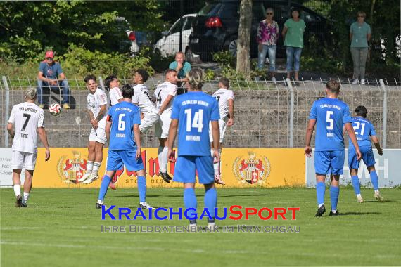 Verbandsliga-VfB-Eppingen-vs-TSG-Weinheim (© Siegfried Lörz)