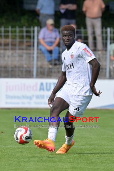 Verbandsliga-VfB-Eppingen-vs-TSG-Weinheim (© Siegfried Lörz)