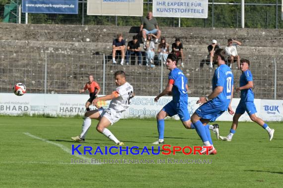 Verbandsliga-VfB-Eppingen-vs-TSG-Weinheim (© Siegfried Lörz)