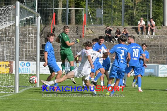 Verbandsliga-VfB-Eppingen-vs-TSG-Weinheim (© Siegfried Lörz)