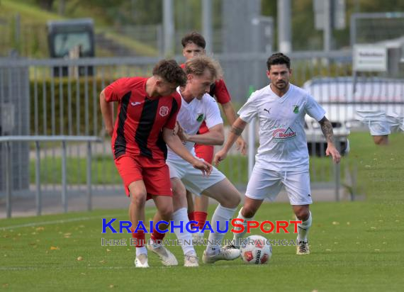 Verbandsliga-FC-Zuzenhausen-vs-TSG-Weinheim (© Siegfried Lörz)