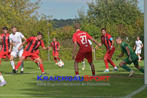 Verbandsliga-FC-Zuzenhausen-vs-TSG-Weinheim (© Siegfried Lörz)