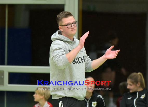 Volleyball-Oberliga-Frauen-SV-Sinsheim-vs-SG-Hohensachsen (© Siegfried Lörz)
