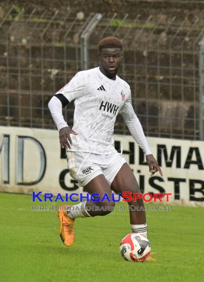 Verbandsliga-VfB-Eppingen-vs-TSV-Reichenbach (© Siegfried Lörz)