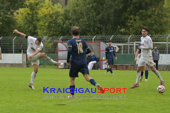 Verbandsliga-VfB-Eppingen-vs-TSV-Reichenbach (© Siegfried Lörz)