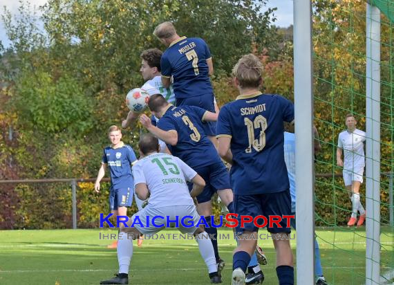Verbandsliga-FC-Zuzenhausen-vs-TSV-Reichenbach- (© Siegfried Lörz)
