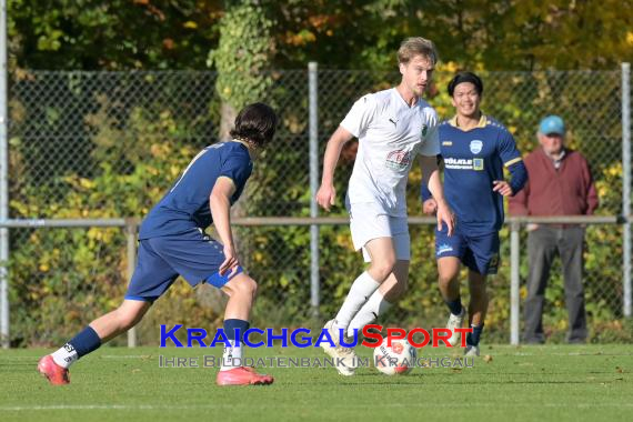 Verbandsliga-FC-Zuzenhausen-vs-TSV-Reichenbach- (© Siegfried Lörz)