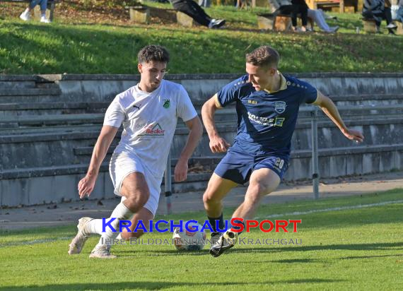 Verbandsliga-FC-Zuzenhausen-vs-TSV-Reichenbach- (© Siegfried Lörz)