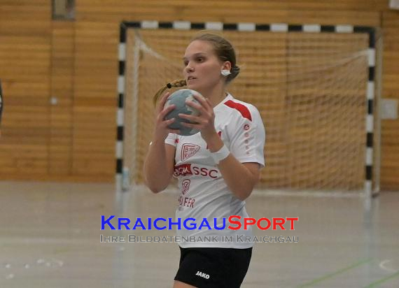 W-Handball-Frauen-Landesliga-1-TB-Richen-vs-SV-Salamander-Kornwestheim (© Siegfried Lörz)
