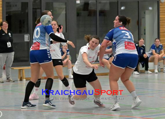 W-Handball-Frauen-Landesliga-1-TB-Richen-vs-SV-Salamander-Kornwestheim (© Siegfried Lörz)