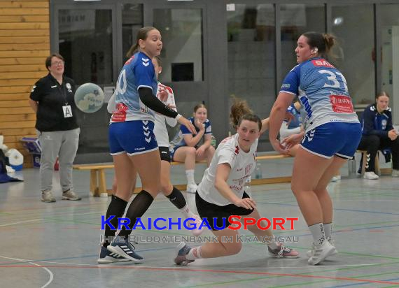 W-Handball-Frauen-Landesliga-1-TB-Richen-vs-SV-Salamander-Kornwestheim (© Siegfried Lörz)