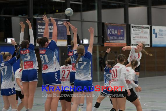 W-Handball-Frauen-Landesliga-1-TB-Richen-vs-SV-Salamander-Kornwestheim (© Siegfried Lörz)