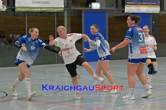 W-Handball-Frauen-Landesliga-1-TB-Richen-vs-SV-Salamander-Kornwestheim (© Siegfried Lörz)