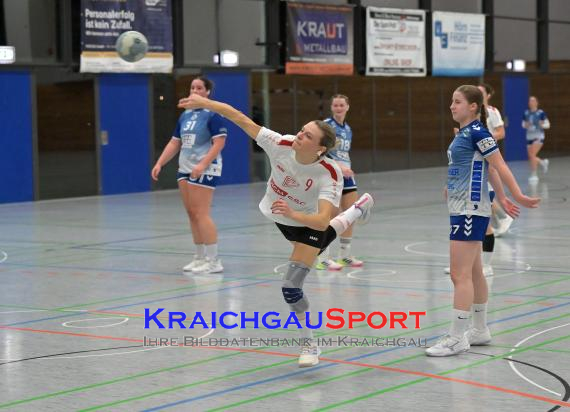 W-Handball-Frauen-Landesliga-1-TB-Richen-vs-SV-Salamander-Kornwestheim (© Siegfried Lörz)