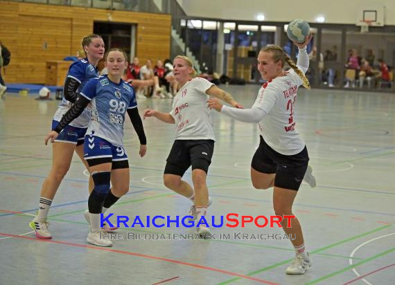W-Handball-Frauen-Landesliga-1-TB-Richen-vs-SV-Salamander-Kornwestheim (© Siegfried Lörz)