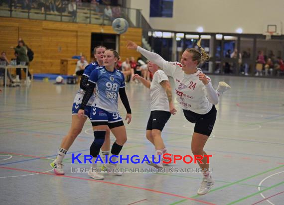 W-Handball-Frauen-Landesliga-1-TB-Richen-vs-SV-Salamander-Kornwestheim (© Siegfried Lörz)