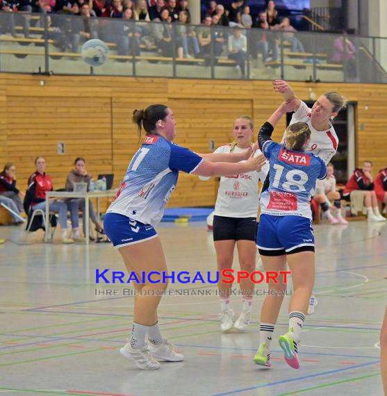 W-Handball-Frauen-Landesliga-1-TB-Richen-vs-SV-Salamander-Kornwestheim (© Siegfried Lörz)