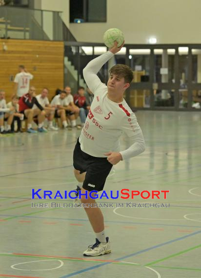 BW-Handball-Herren-Bezirksklasse-Gruppe-2-TB-Richen-vs-FSV-Bad-Friedrichshall (© Siegfried Lörz)