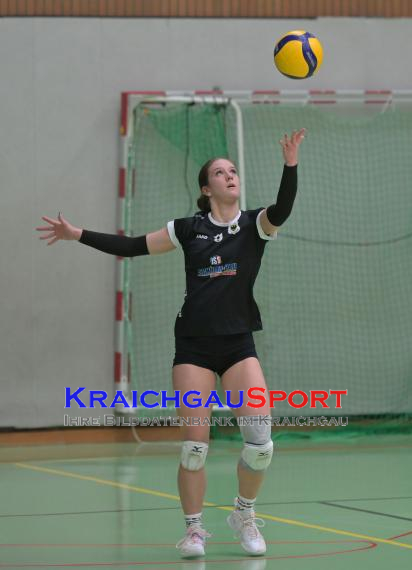 Volleyball-Oberliga-SV-Sinsheim-vs-USC-Freiburg (&copy; Siegfried Lörz)