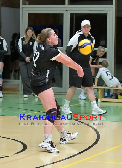Volleyball-Oberliga-SV-Sinsheim-vs-USC-Freiburg (&copy; Siegfried Lörz)