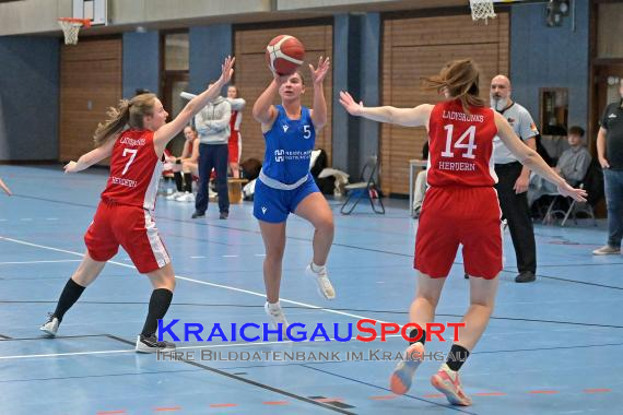 Basketball-Oberliga-Damen-TV-Sinsheim-vs-Ladyskunks-Herdern- (&copy; Siegfried Lörz)