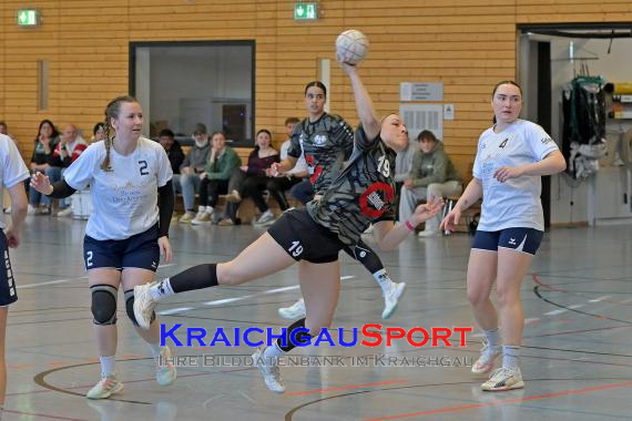 Frauen-Bezirksoberliga-RN-TV-Sinsheim-vs-TSV-Phönix-Steinsfurt (&copy; Siegfried Lörz)