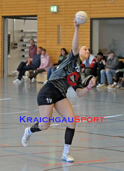 Frauen-Bezirksoberliga-RN-TV-Sinsheim-vs-TSV-Phönix-Steinsfurt (&copy; Siegfried Lörz)