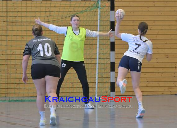 Frauen-Bezirksoberliga-RN-TV-Sinsheim-vs-TSV-Phönix-Steinsfurt (&copy; Siegfried Lörz)